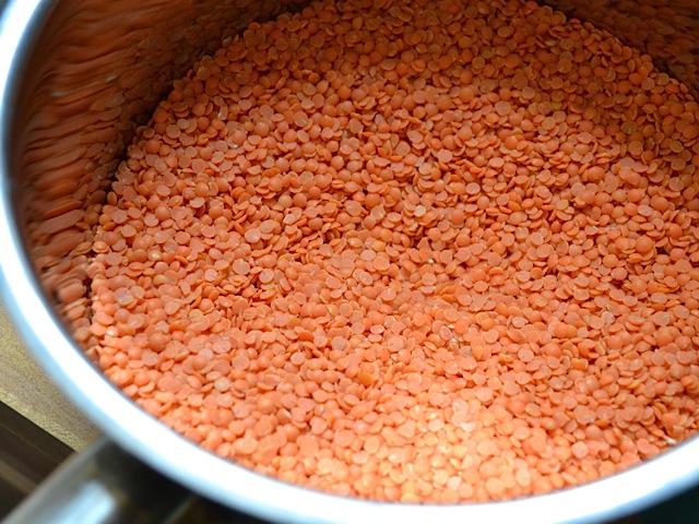 lentilles rouges sèches en pot