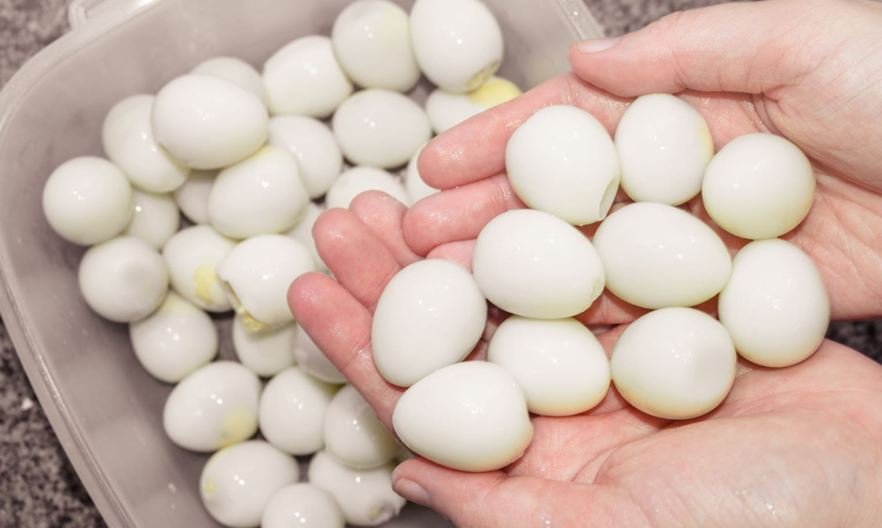 Ils sont partout et peu de gens les ont essayés.  Mieux que les œufs ordinaires