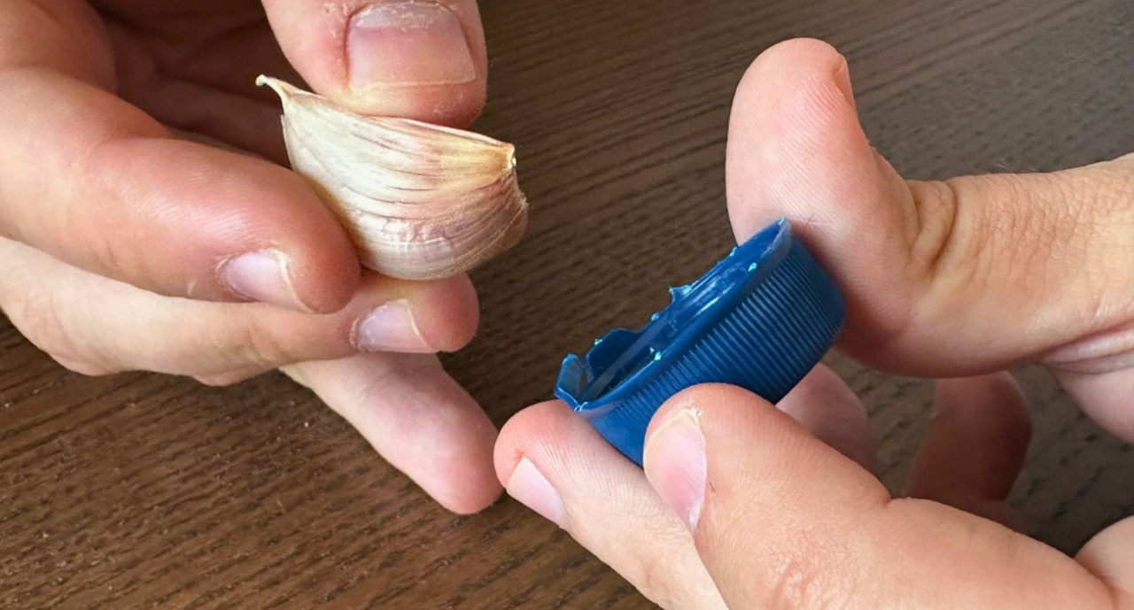 L'ail sortira tout seul de sa coquille.  Tout ce dont vous avez besoin est un bouchon de bouteille ordinaire