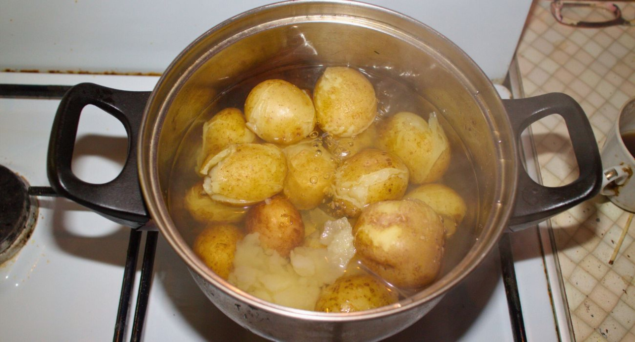 La seule méthode correcte de cuisson des jeunes pommes de terre.  Ils sont savoureux et ne perdent aucun élément nutritif