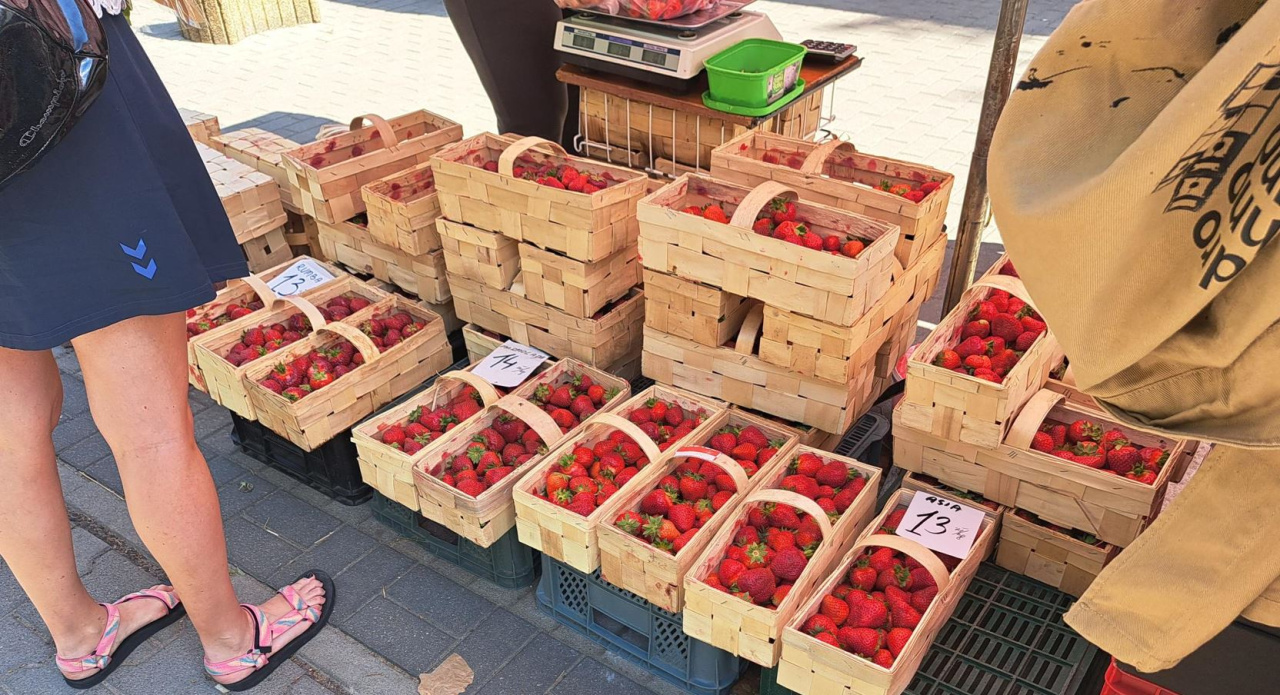 Quelques jours ont suffi et la baisse des prix des fraises est devenue une réalité.  Tout le monde n'a pas de raisons d'être heureux