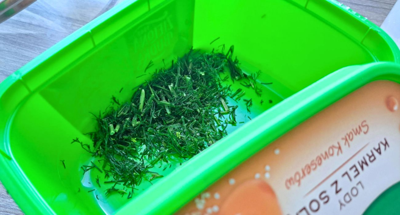 Congelez-vous l'aneth comme ça ?  Pas étonnant que ça sent mauvais après.  Une erreur qui peut être facilement évitée