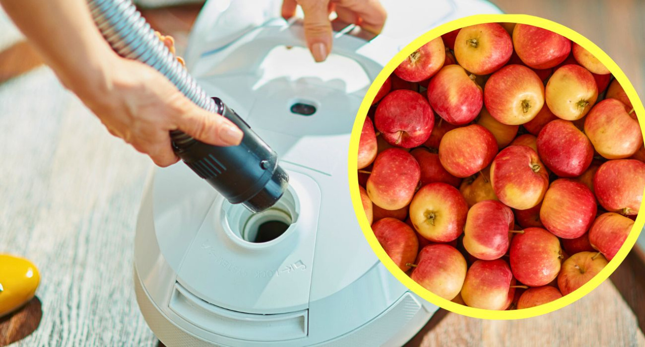 Elle a pris un sac de pommes et un aspirateur. Il faut avoir un esprit de magasin pour proposer de telles inventions