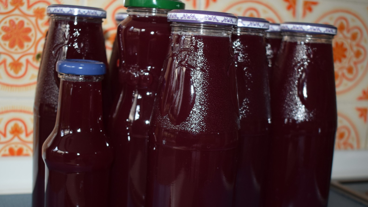 Jus de sureau selon la recette de grand-mère. Elle a pris des fruits, du sucre et 1 autre ingrédient