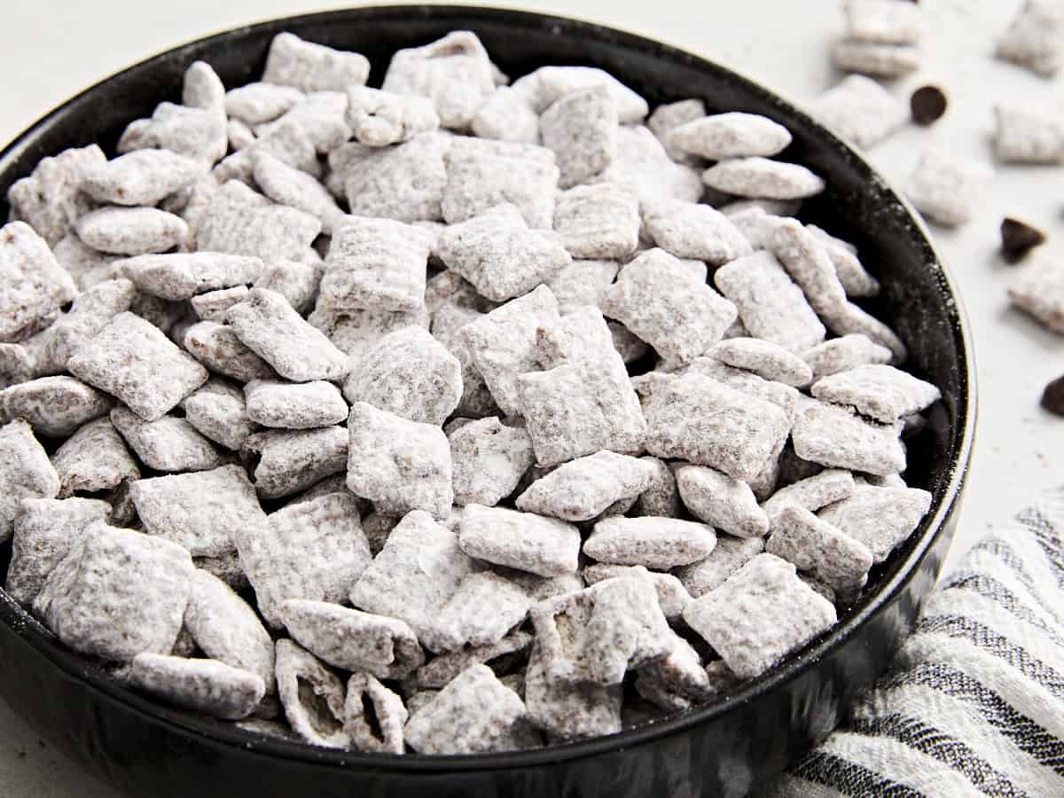 Vue latérale de la nourriture pour chiots dans un bol.