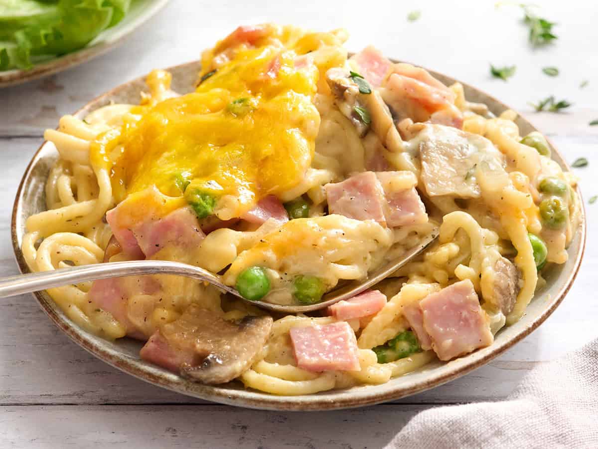 Side view of ham tetrazzini on a plate.