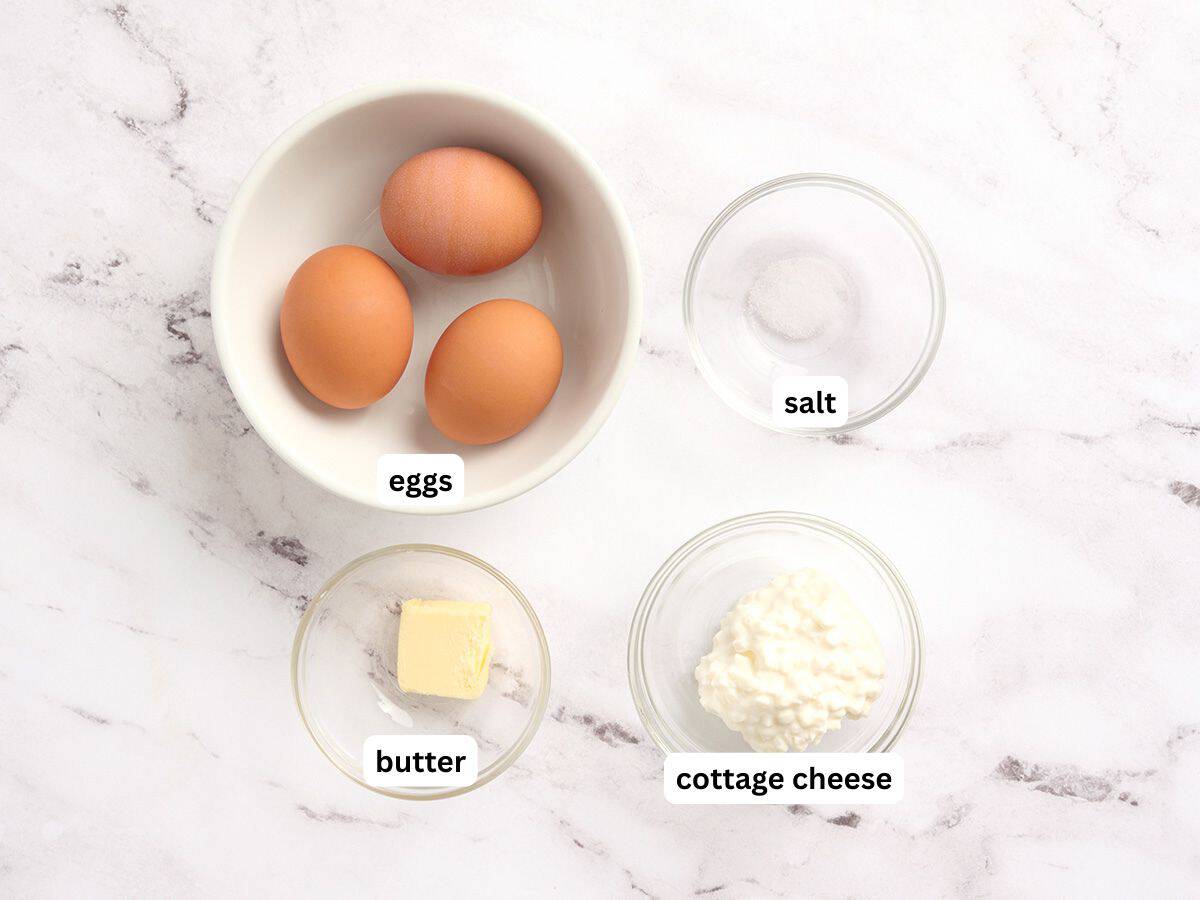 Les ingrédients pour faire des œufs au fromage cottage avec des étiquettes.