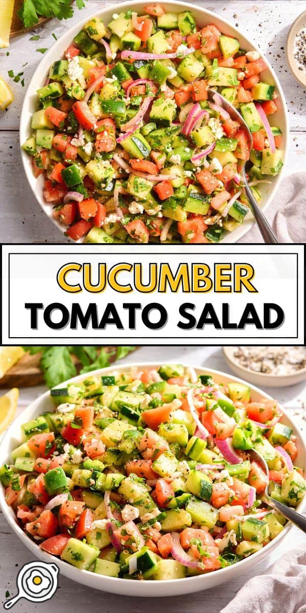image d'épingle à salade de tomates et de concombres