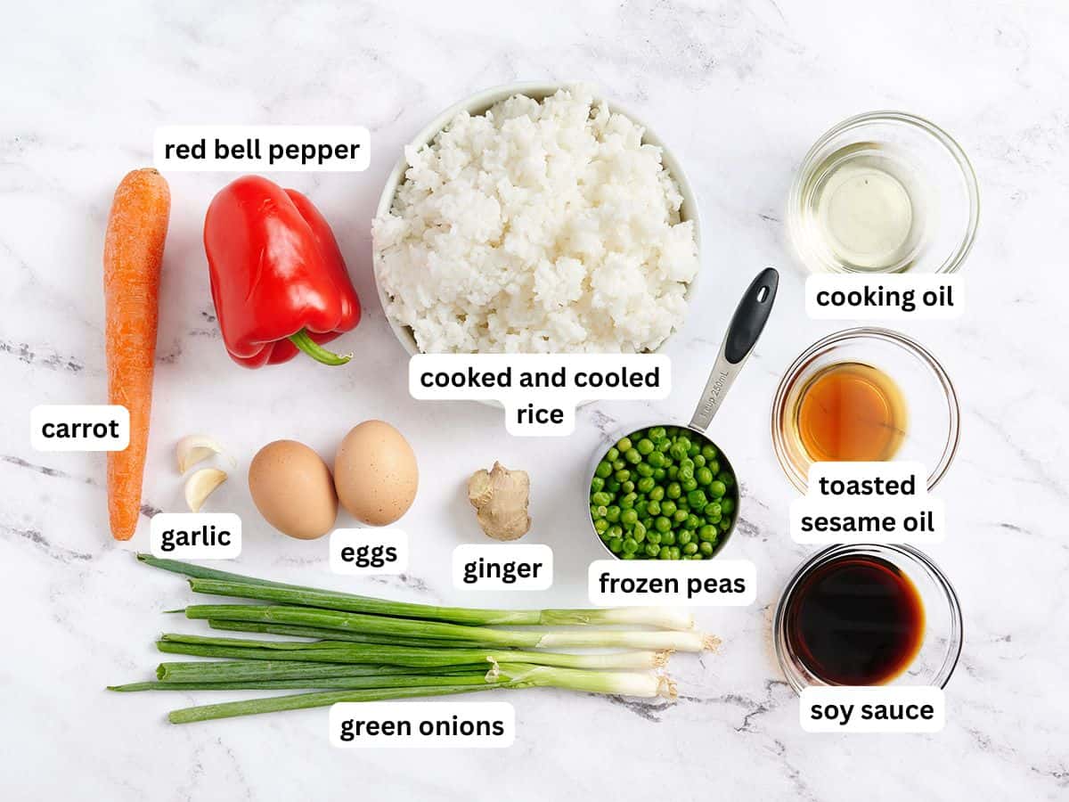 Ingrédients pour riz frit aux légumes avec étiquettes.