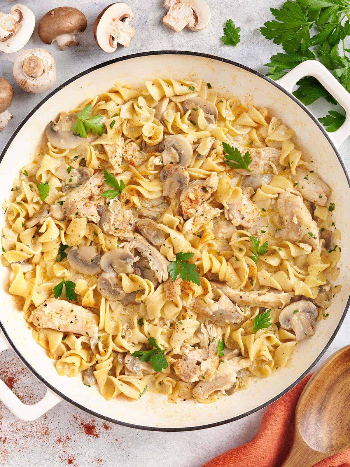 Vue aérienne d'un pot de poulet stroganoff.
