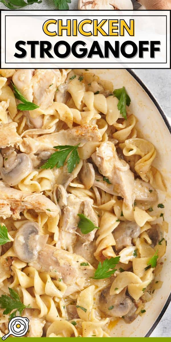 image d’épingle de poulet stroganoff