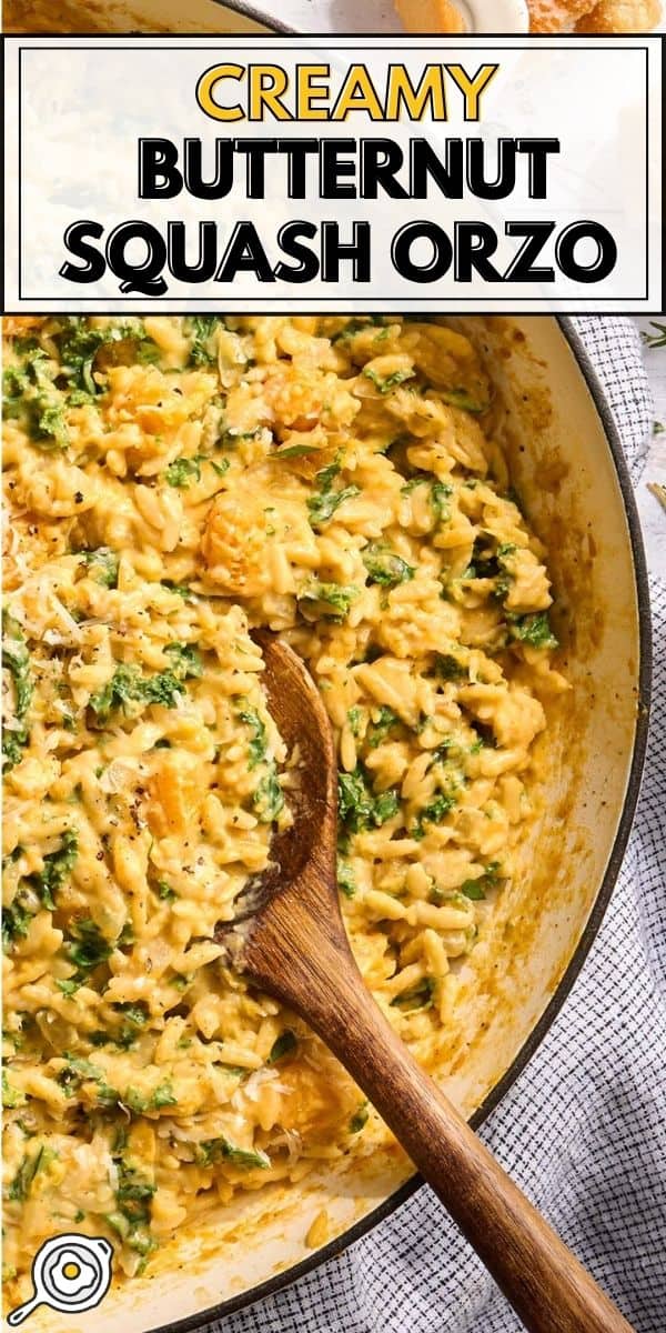 image d’épingle orzo de courge musquée