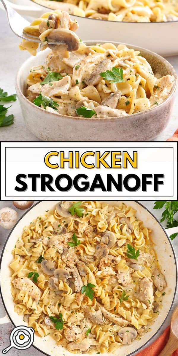 image d’épingle de poulet stroganoff